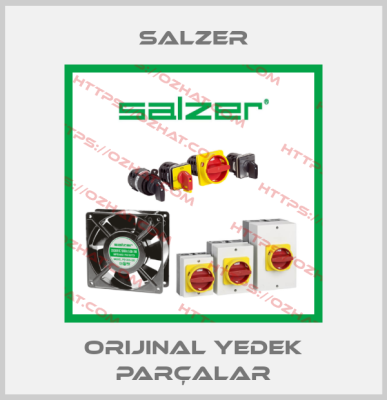Salzer